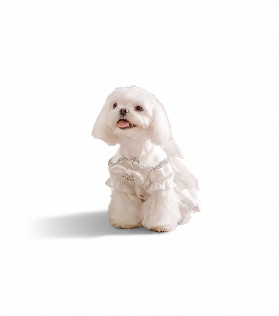 The Glitz White Pet Wedding Gown